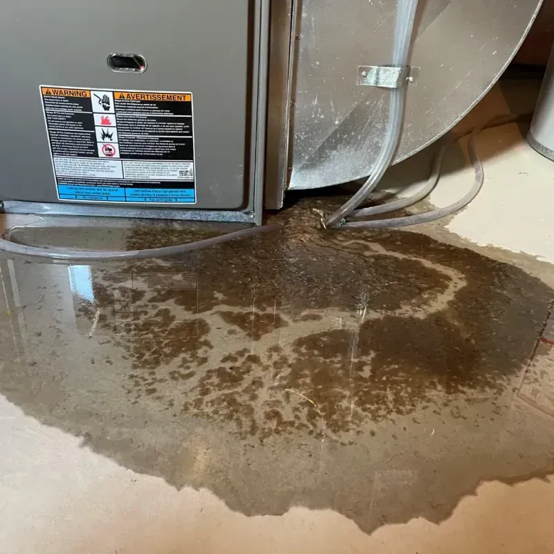 Appliance Leak Cleanup in Aledo, IL